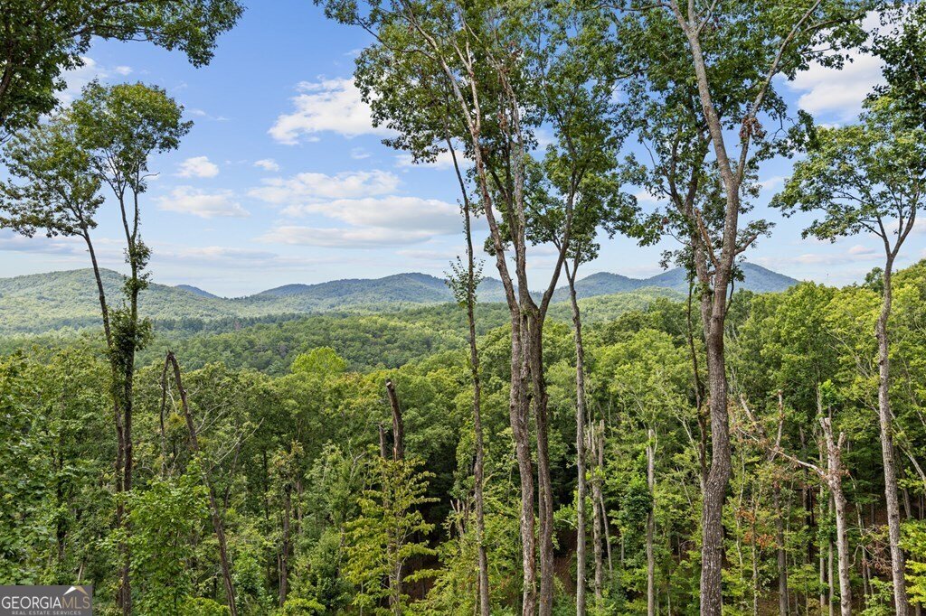 LOT 20 Blue Ridge Escape Cherry Log - 11