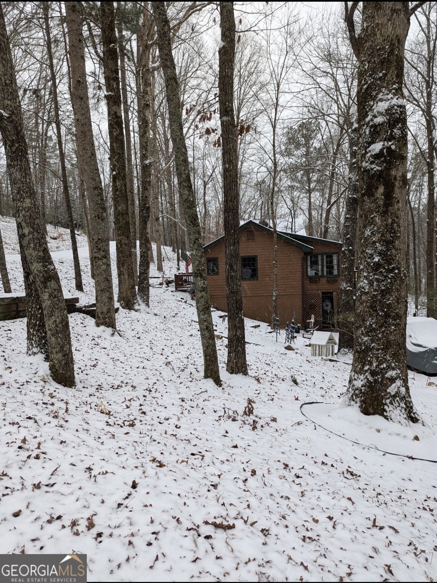 15 Aeries Court Ellijay - 29