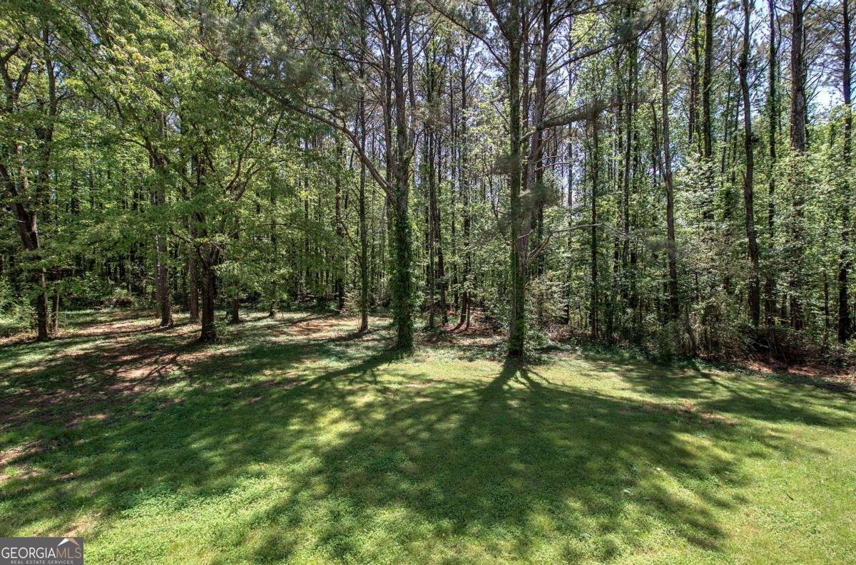 899 Marshall Fuller Road Dallas - 36