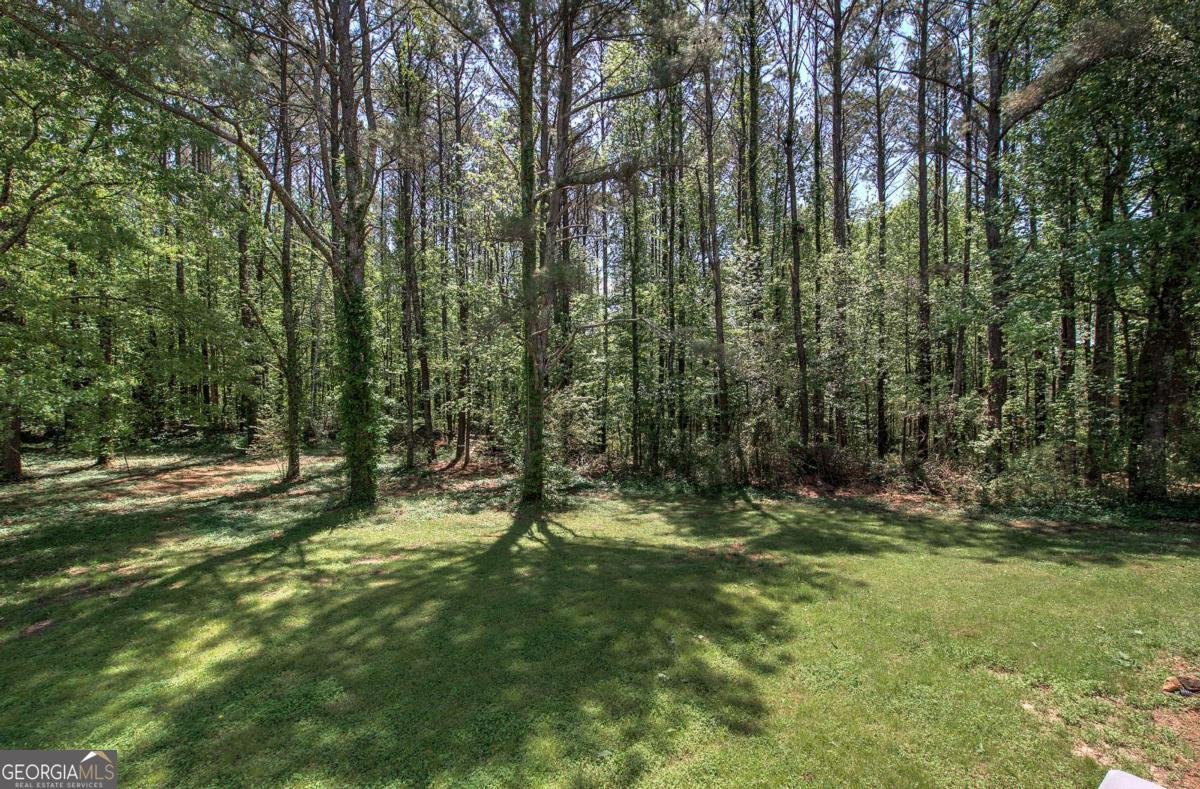 899 Marshall Fuller Road Dallas - 37