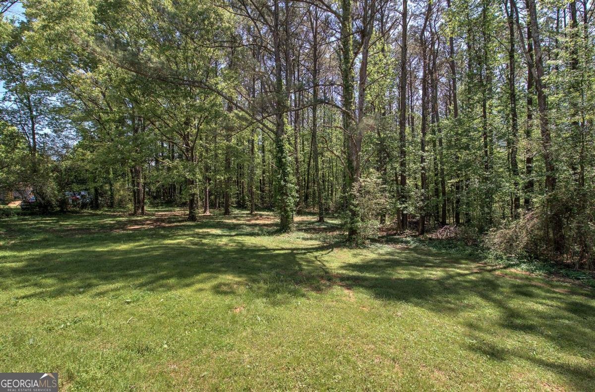 899 Marshall Fuller Road Dallas - 39
