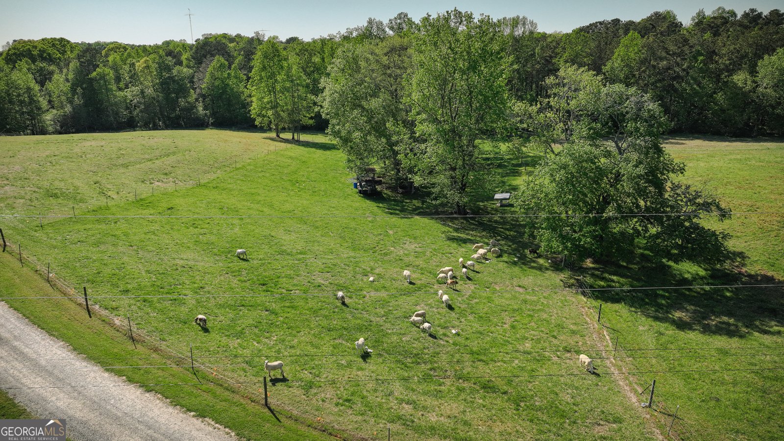 201 Little New York Road Carrollton - 10