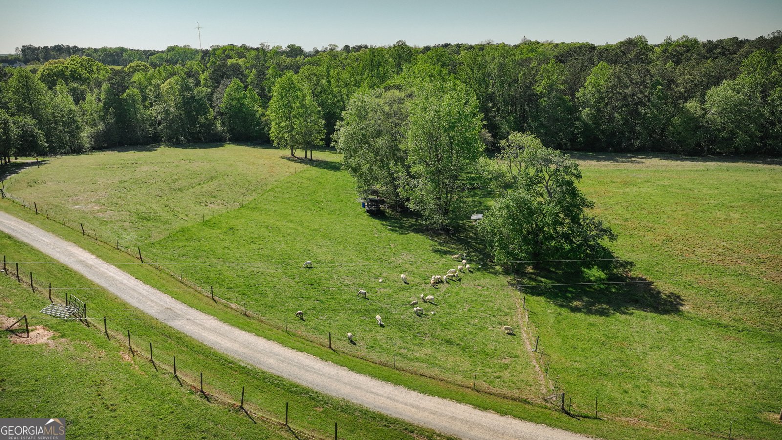201 Little New York Road Carrollton - 11