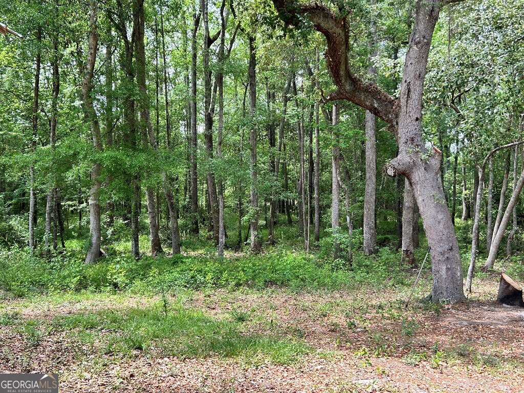2118 Deer Run Circle Tifton - 8