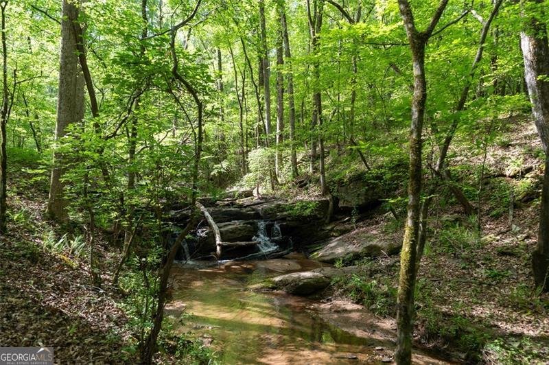 521 KLINE Shady Dale - 43