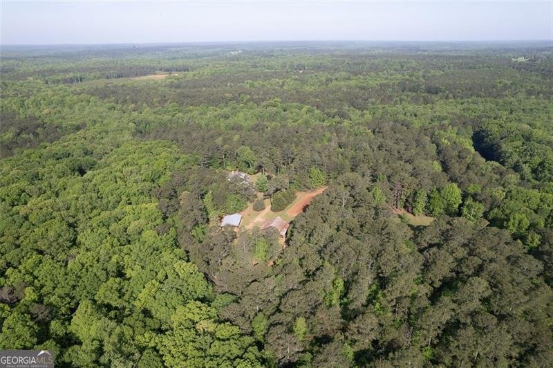 521 KLINE Shady Dale - 52