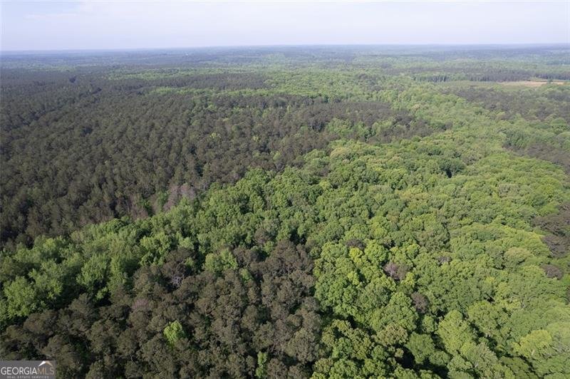 521 KLINE Shady Dale - 54