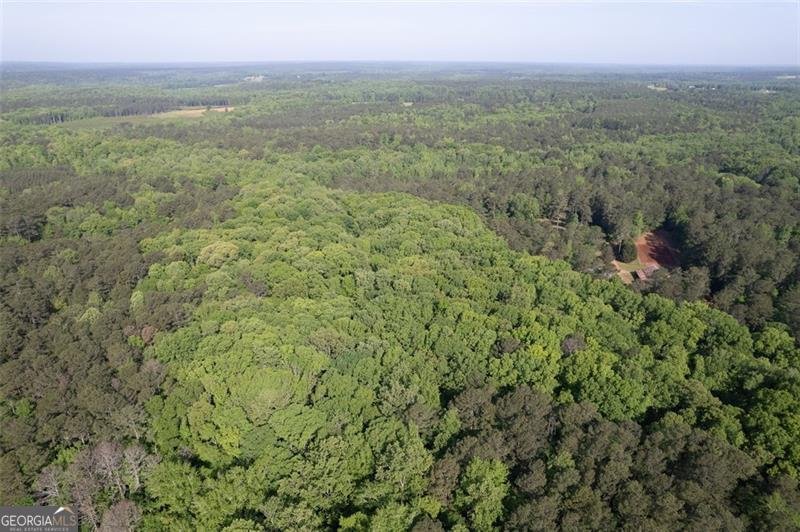 521 KLINE Shady Dale - 56
