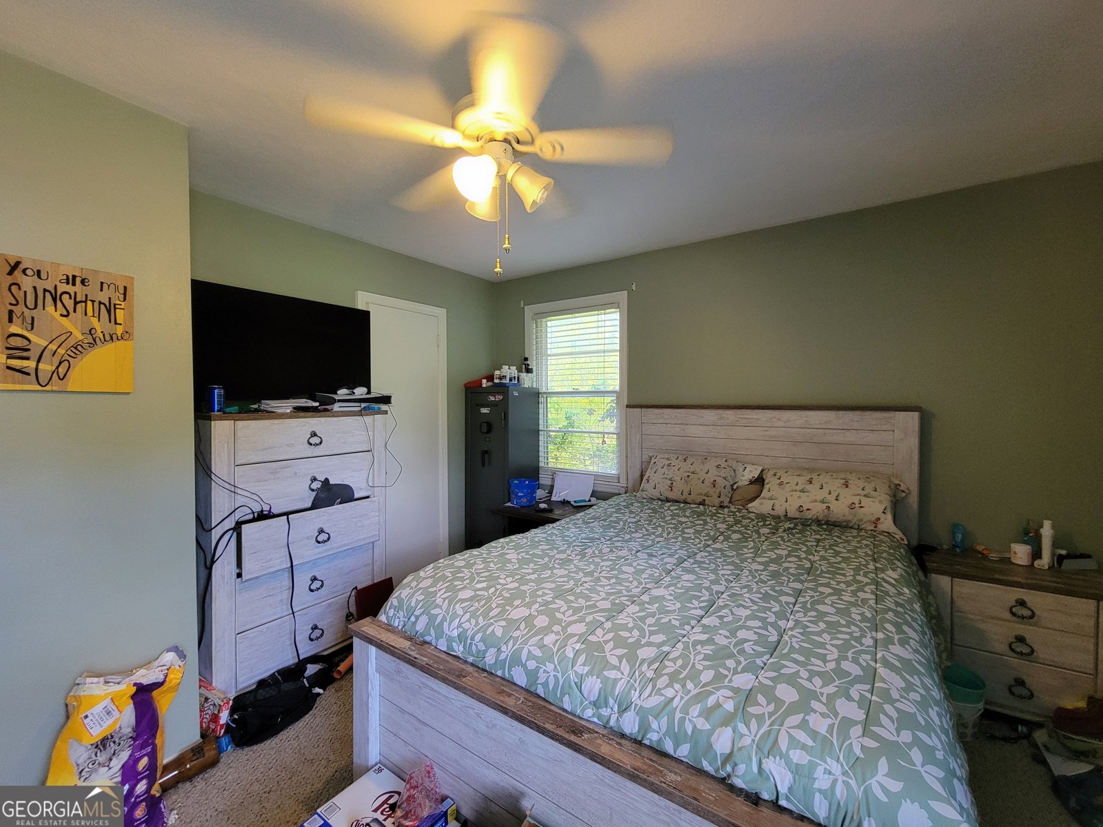 206 New Drive Claxton - 17