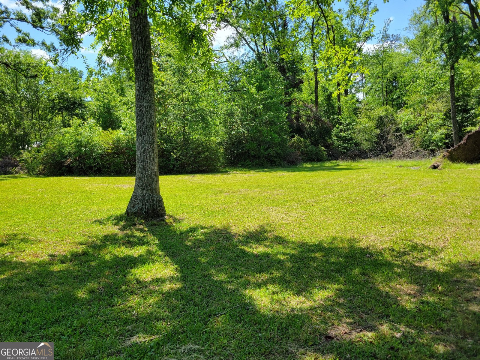 206 New Drive Claxton - 6