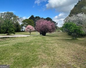 732 Sandhill Shady Grove Road Carrollton - 29