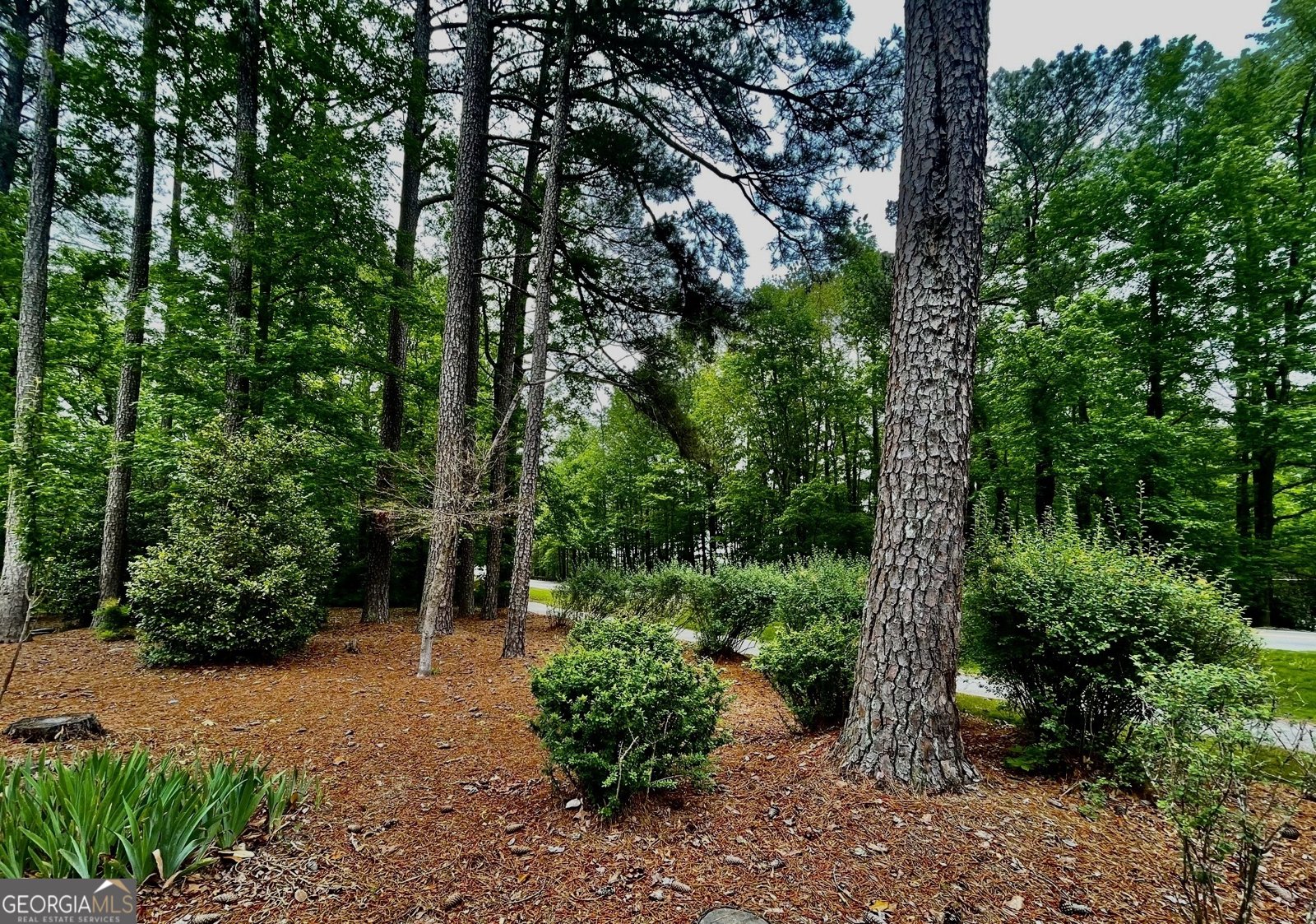 400 Peachtree Parkway Peachtree City - 9
