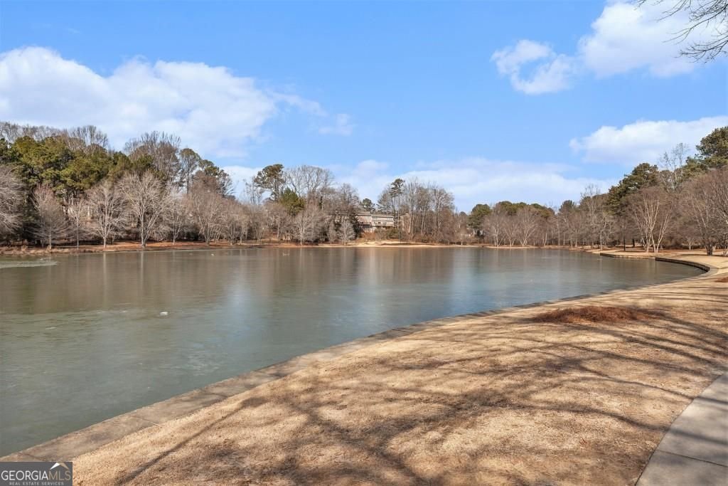 384 Teal Court Roswell - 33
