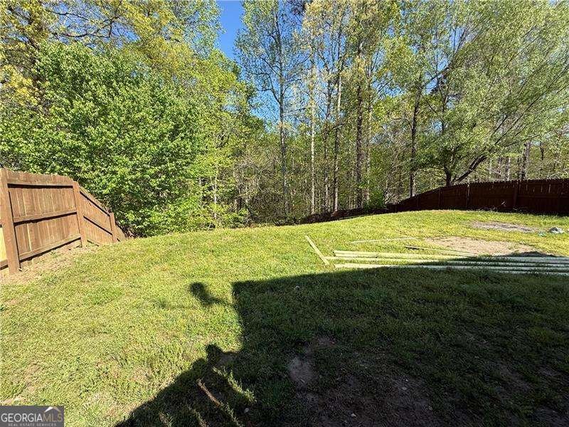 433 Orchid Lane Canton - 13