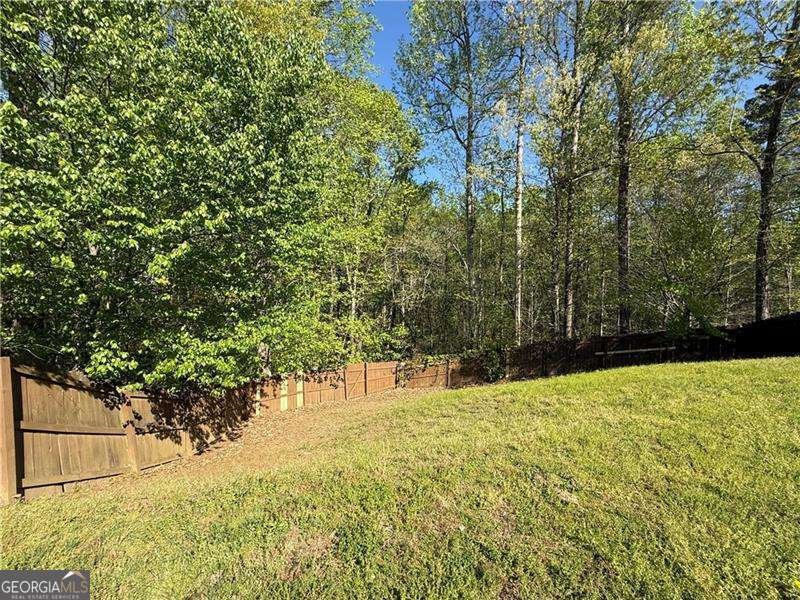 433 Orchid Lane Canton - 14