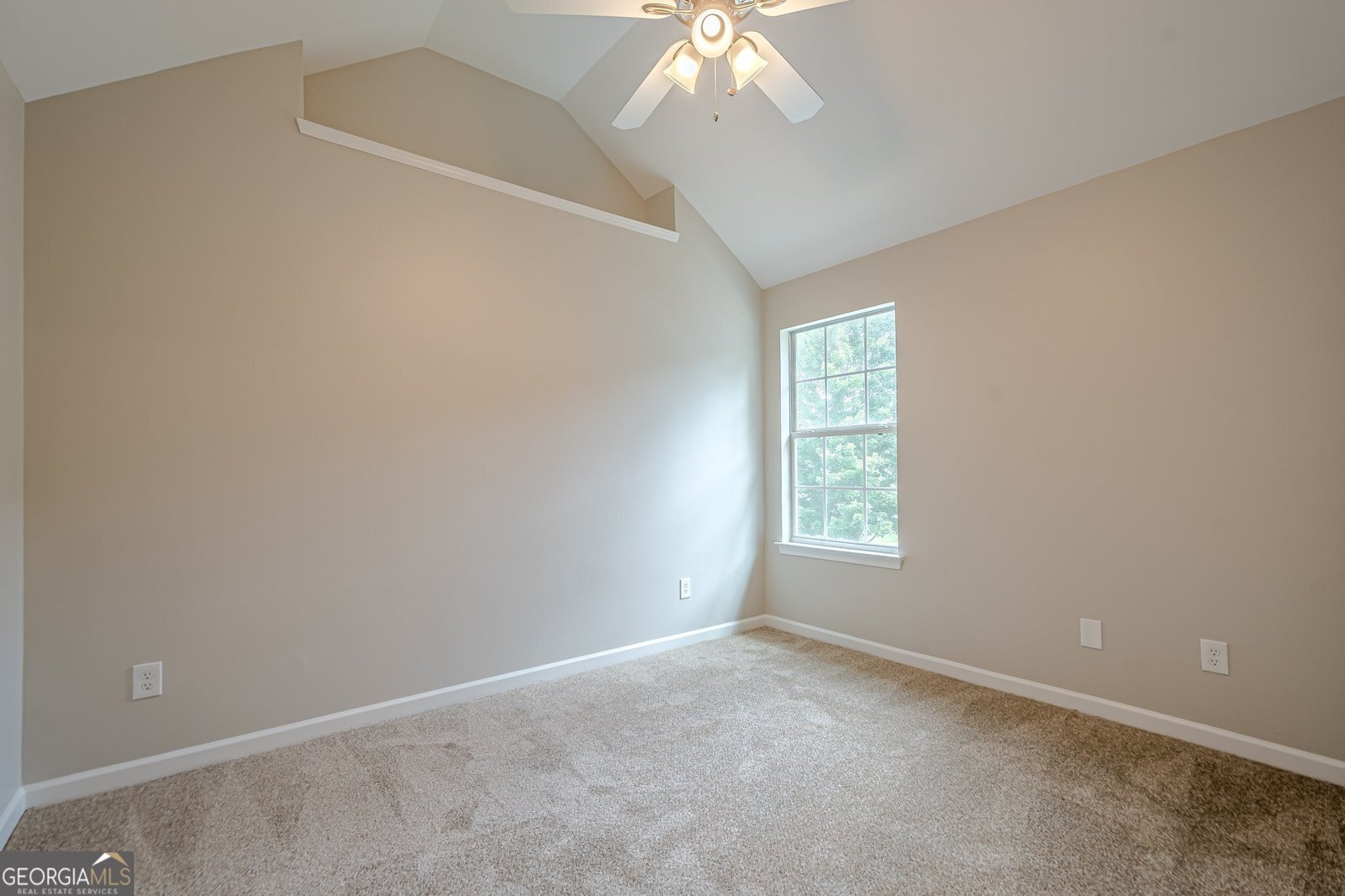 433 Orchid Lane Canton - 31