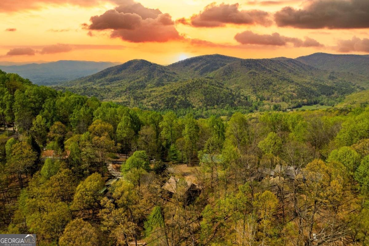 1866 Walnut Ridge Ellijay - 21