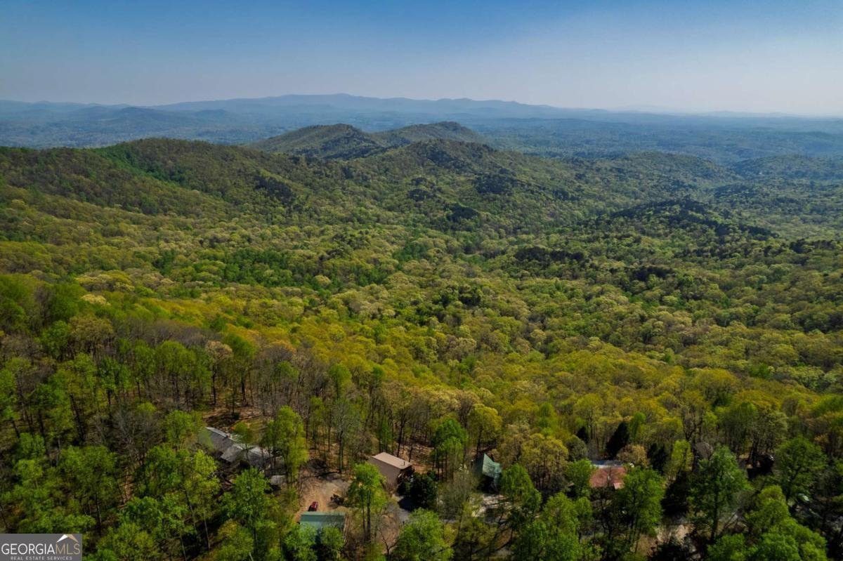 1866 Walnut Ridge Ellijay - 22
