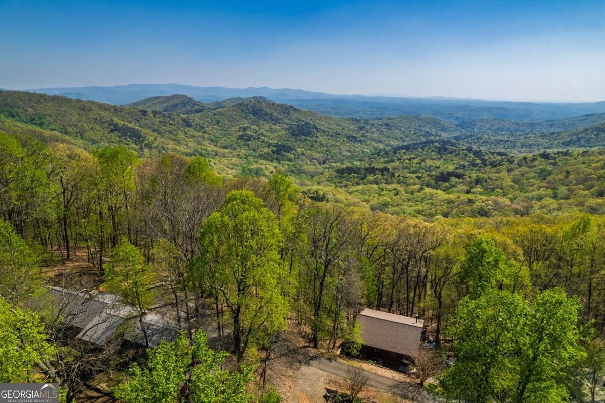 1866 Walnut Ridge Ellijay - 23