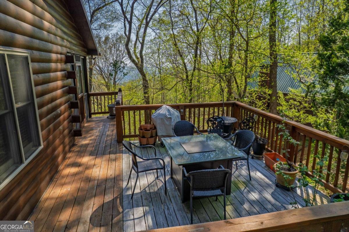 1866 Walnut Ridge Ellijay - 24