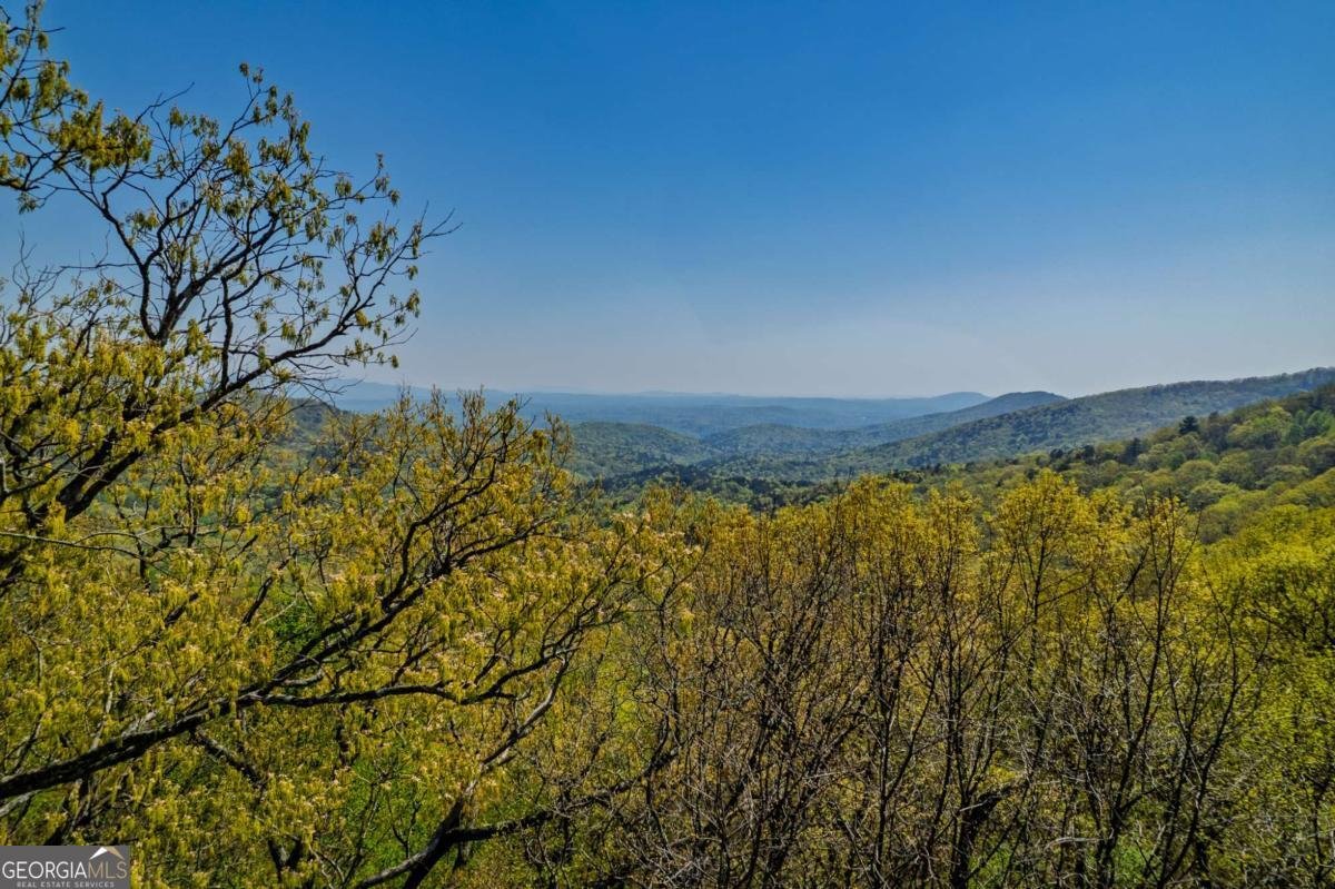 1866 Walnut Ridge Ellijay - 25