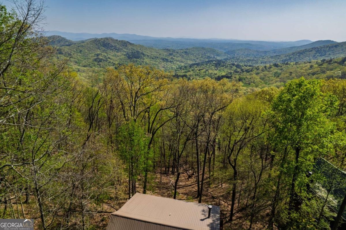1866 Walnut Ridge Ellijay - 26