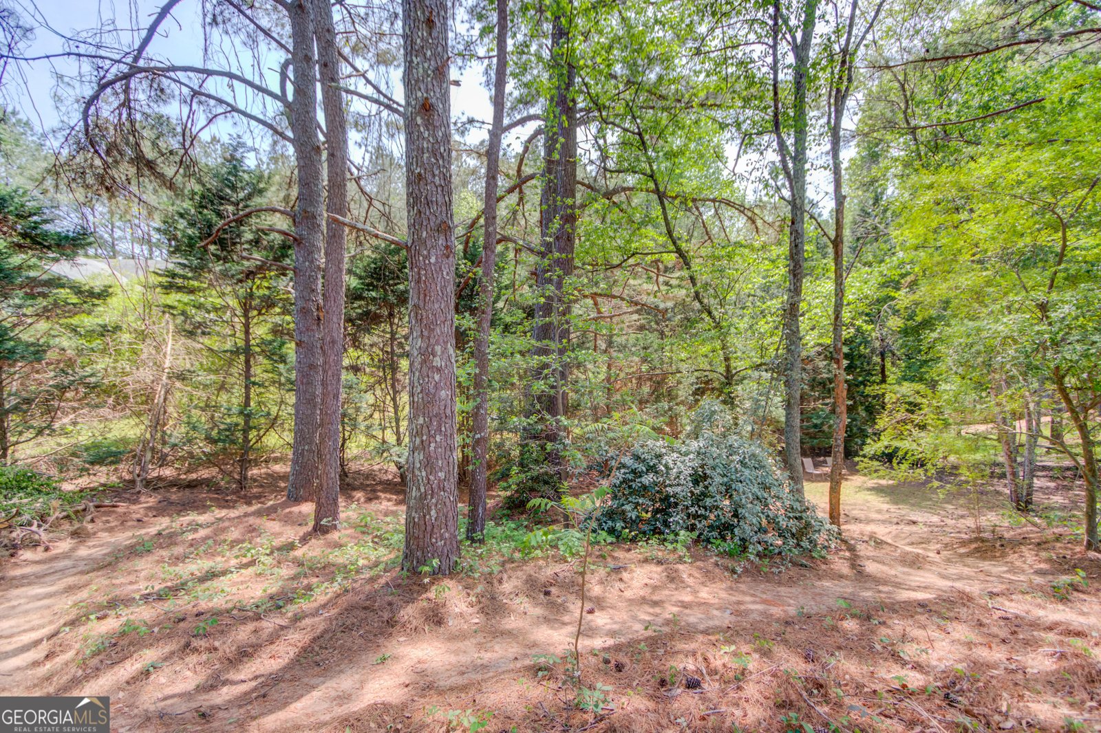 3095 Willow Park Drive Dacula - 50