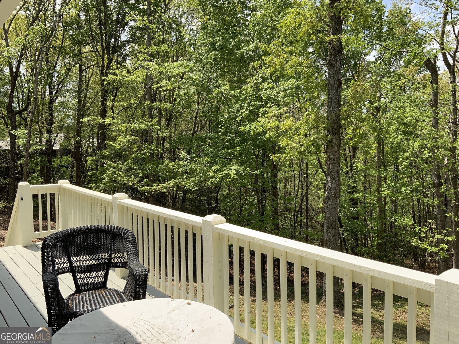 426 Shenendoa Drive Ellijay - 14