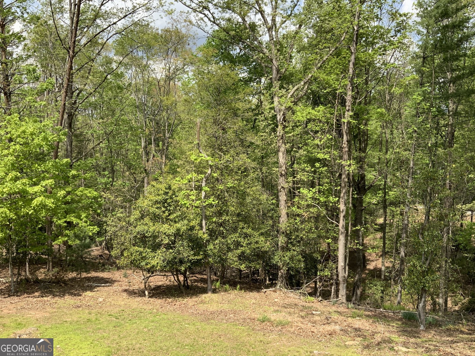 426 Shenendoa Drive Ellijay - 15