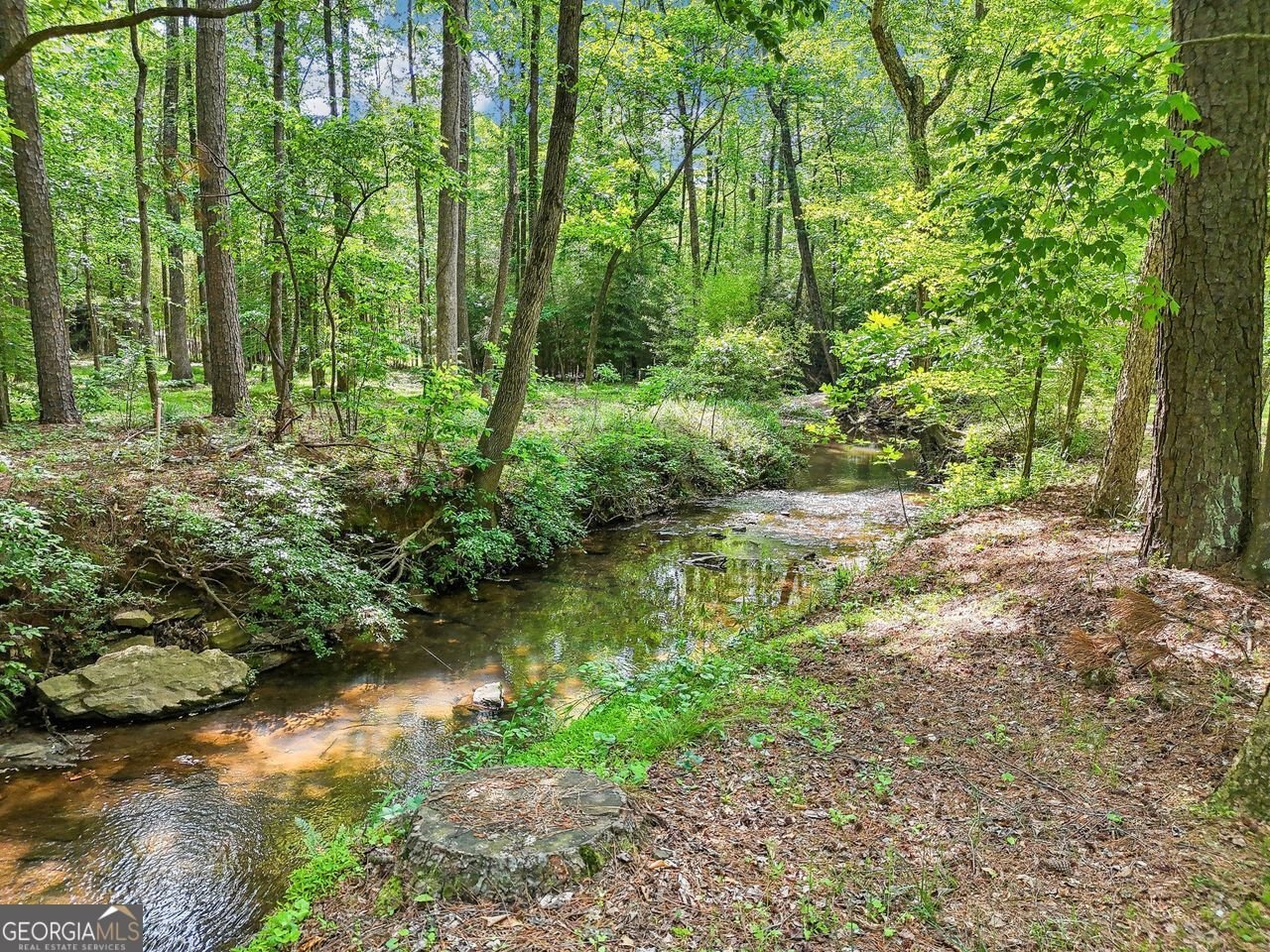 989 PINFEATHER Court Lawrenceville - 65