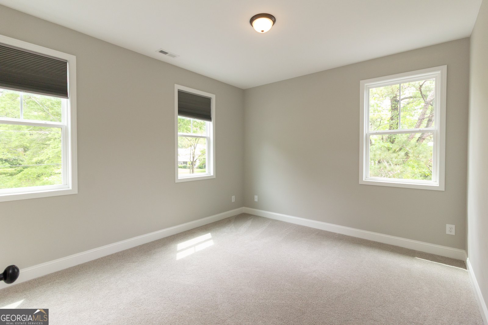 220 Johnson Street Senoia - 43