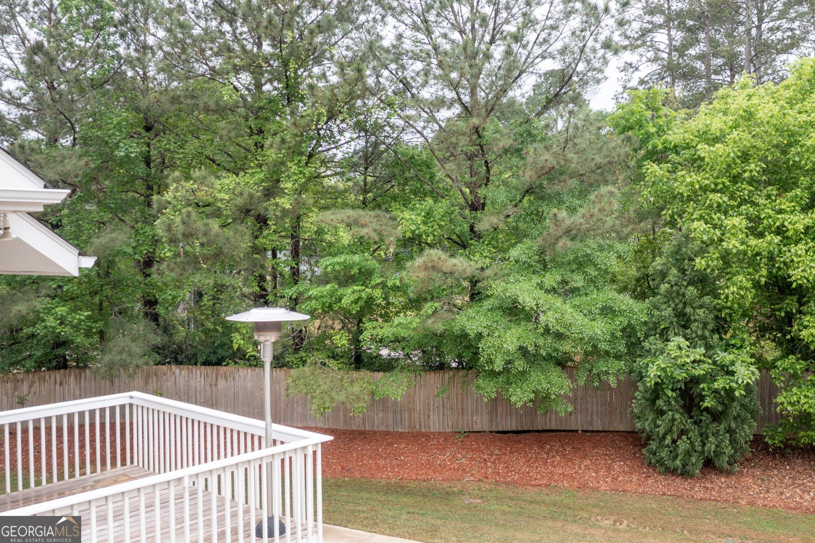 220 Johnson Street Senoia - 80