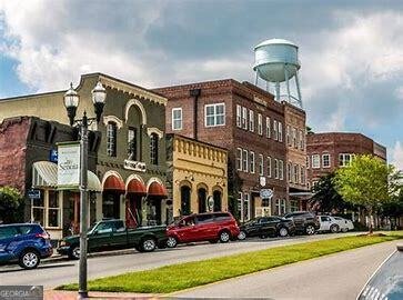 220 Johnson Street Senoia - 84