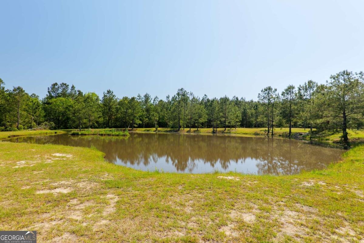 8067 & 8085 Smith Road Hahira - 10