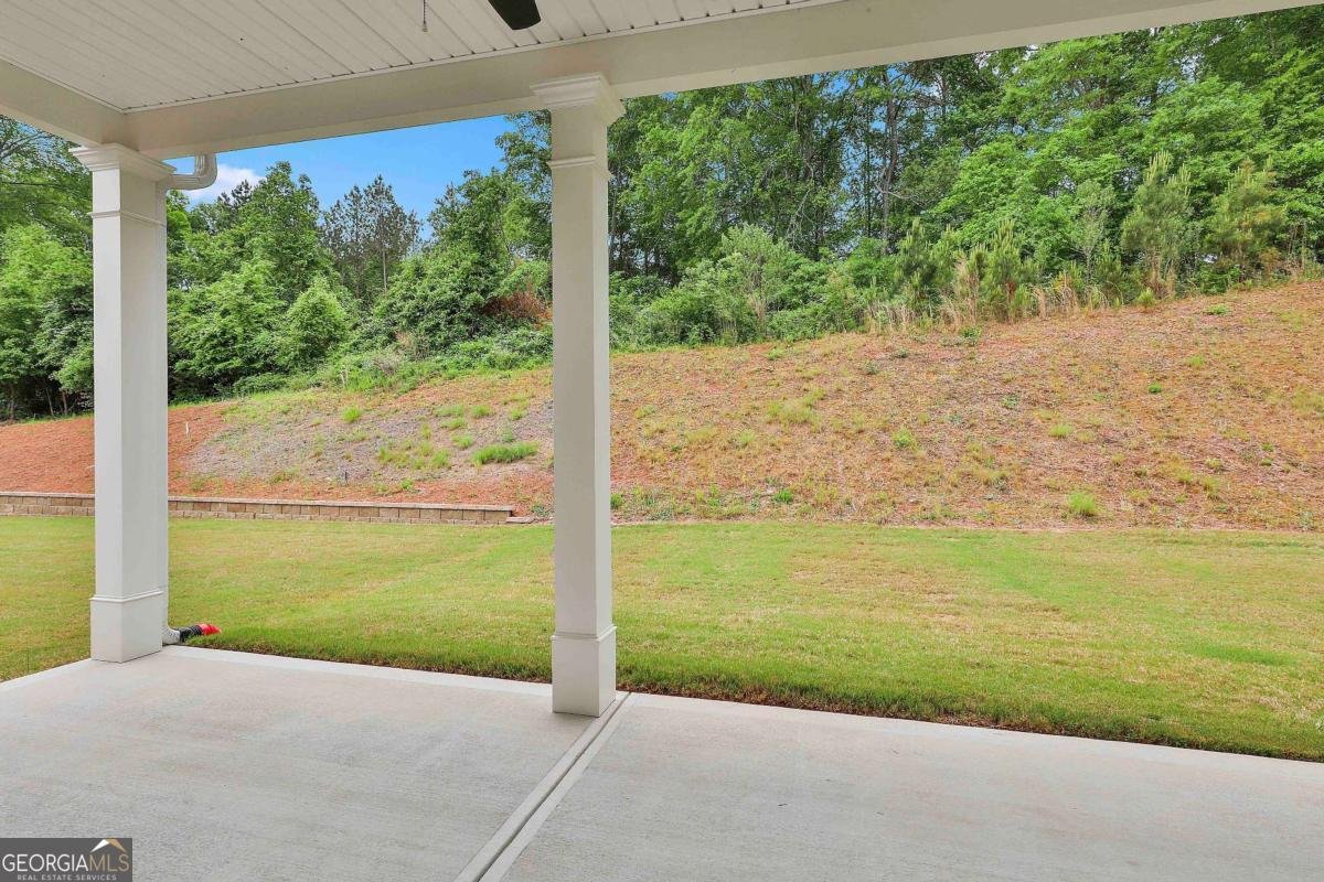 205 Farrell Creek Drive Senoia - 31