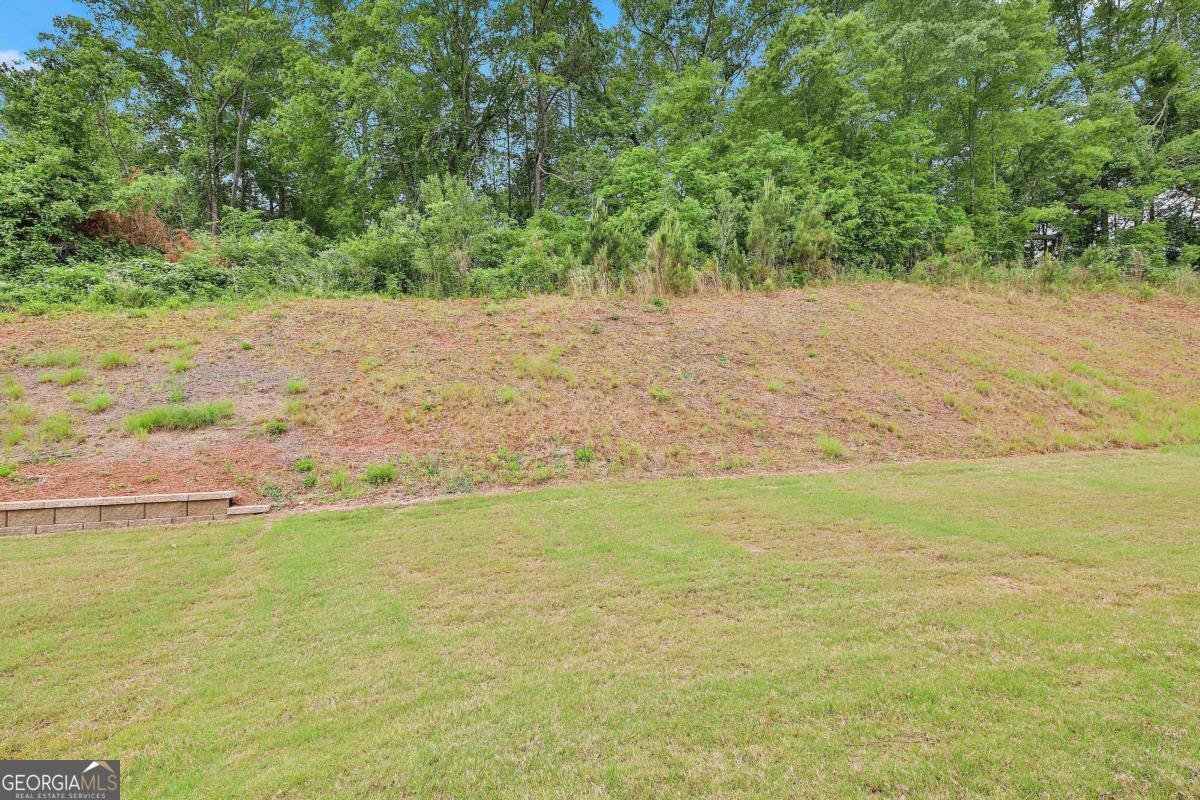 205 Farrell Creek Drive Senoia - 33
