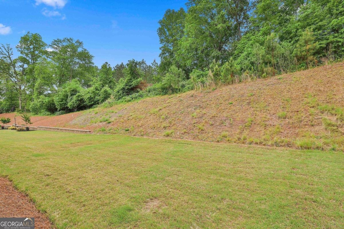 205 Farrell Creek Drive Senoia - 35