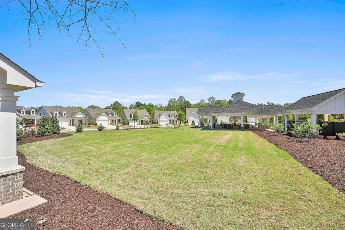 205 Farrell Creek Drive Senoia - 39