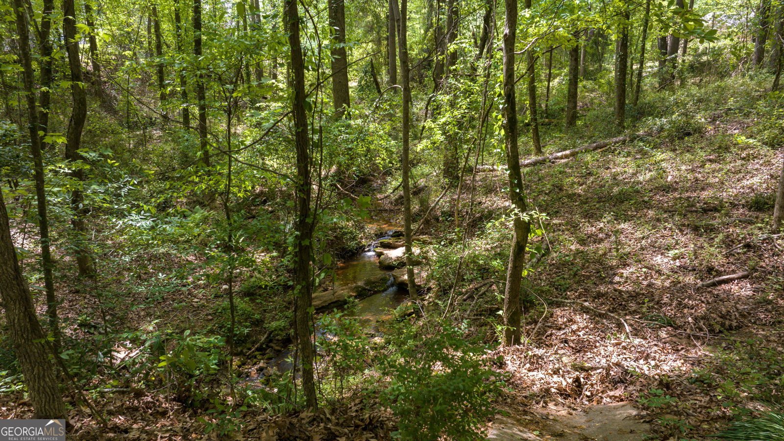 245 Clover Mill Drive Jefferson - 54