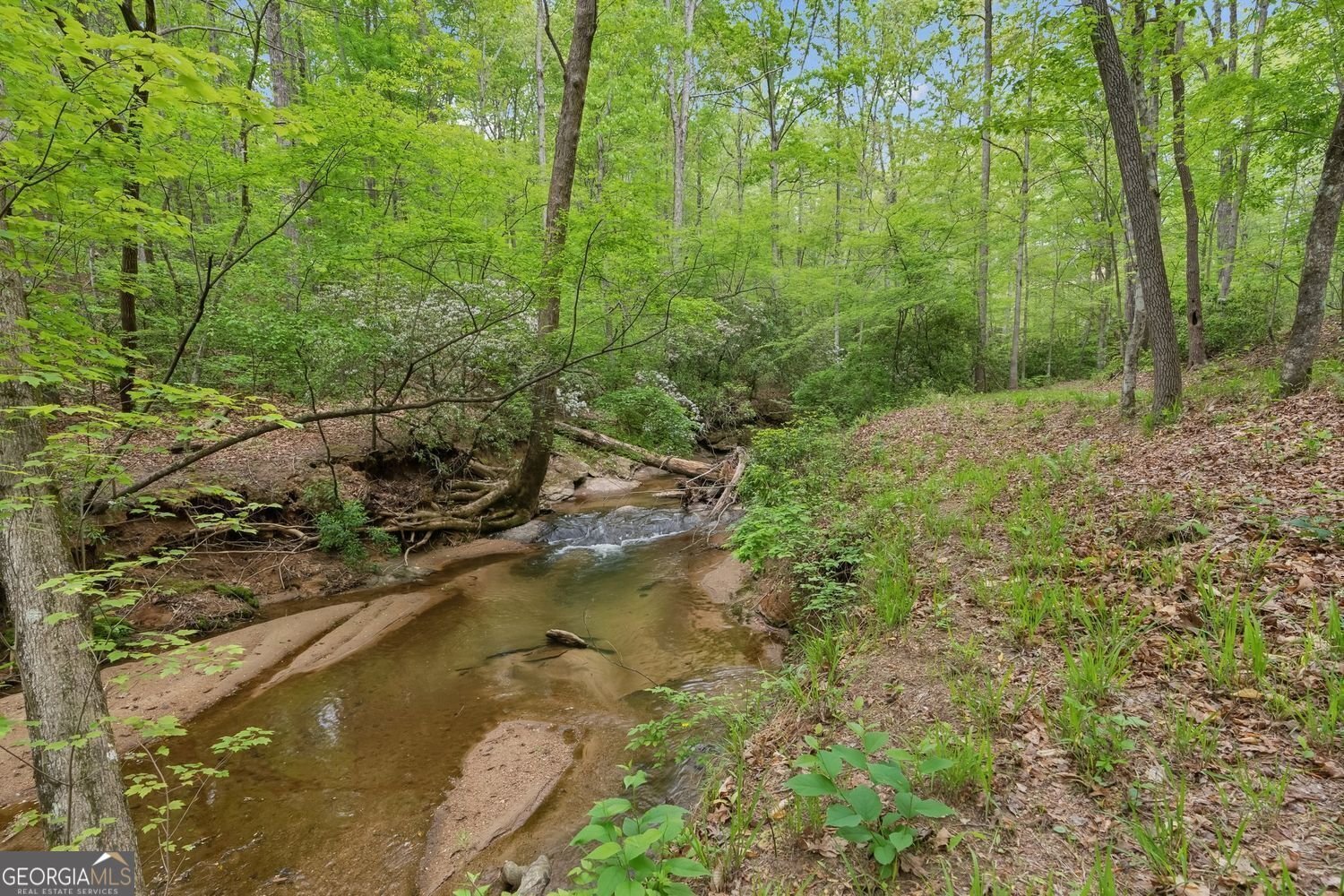 4761 Gateway Lane Flowery Branch - 46