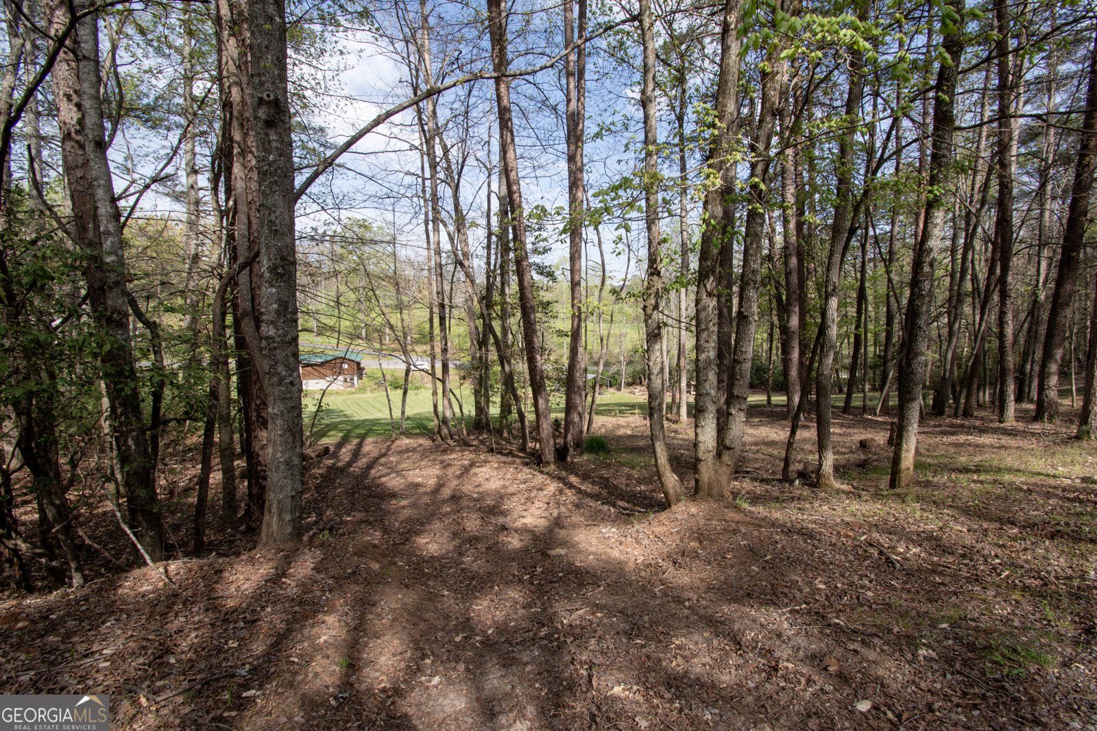 122 Ritz Road Murphy - 79