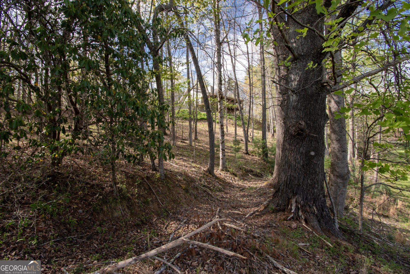 122 Ritz Road Murphy - 89