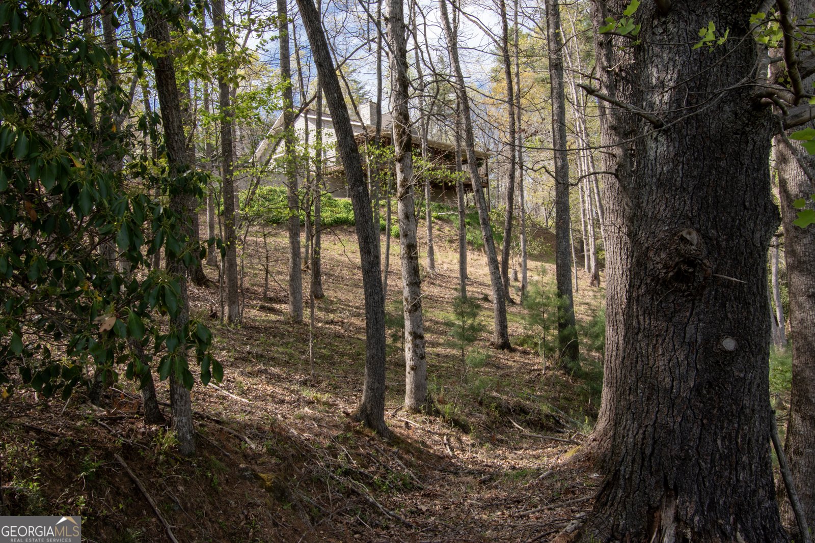 122 Ritz Road Murphy - 90
