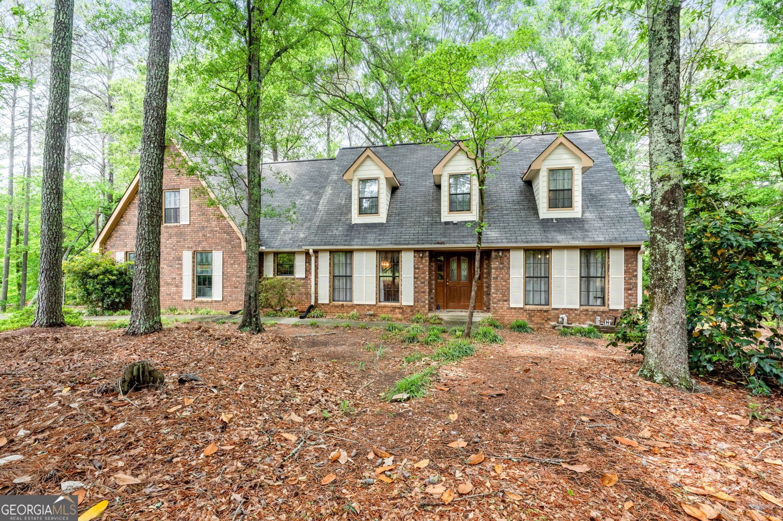 110 The Farm Road Mcdonough - 1