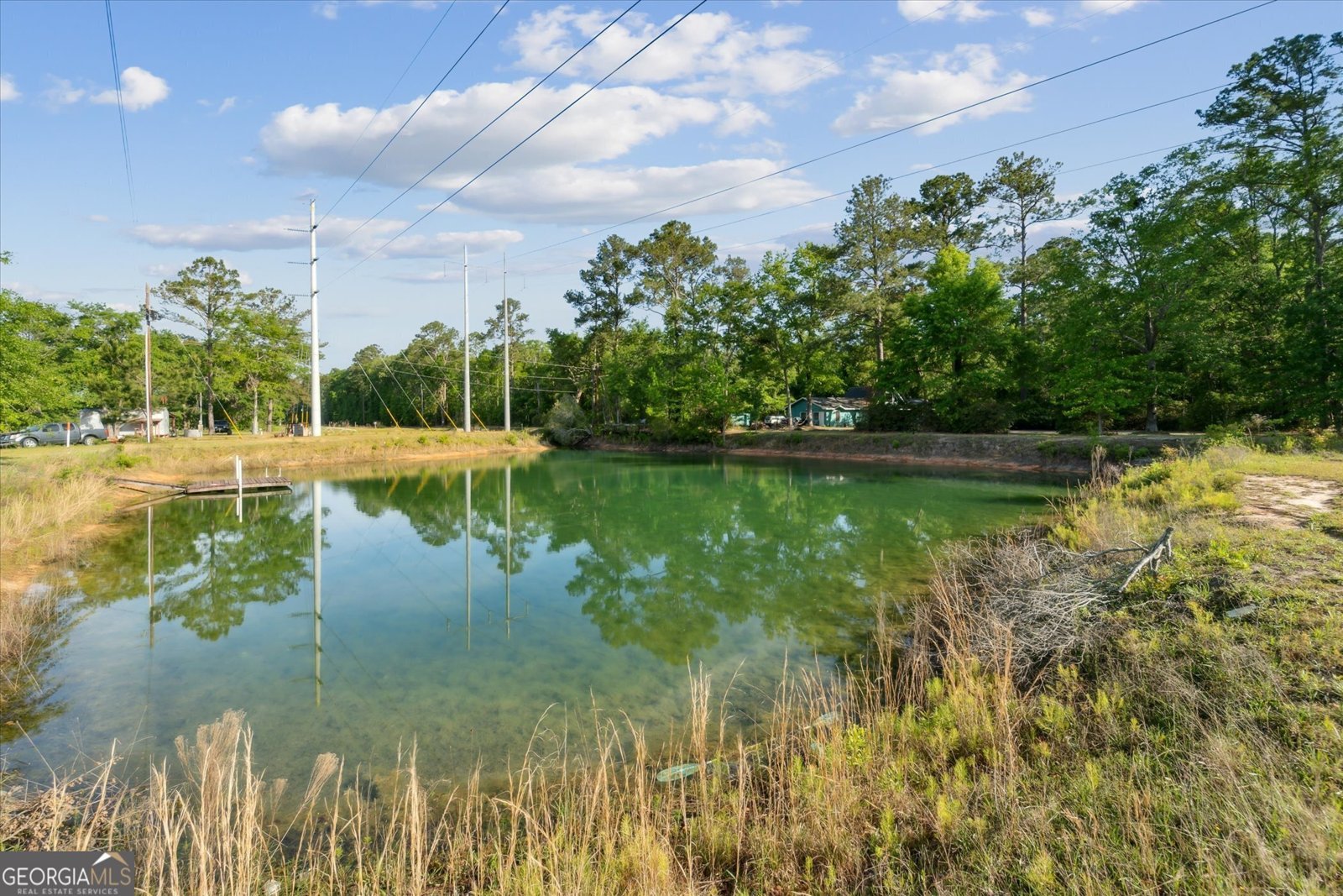 73 Chambliss Lane Ludowici - 42
