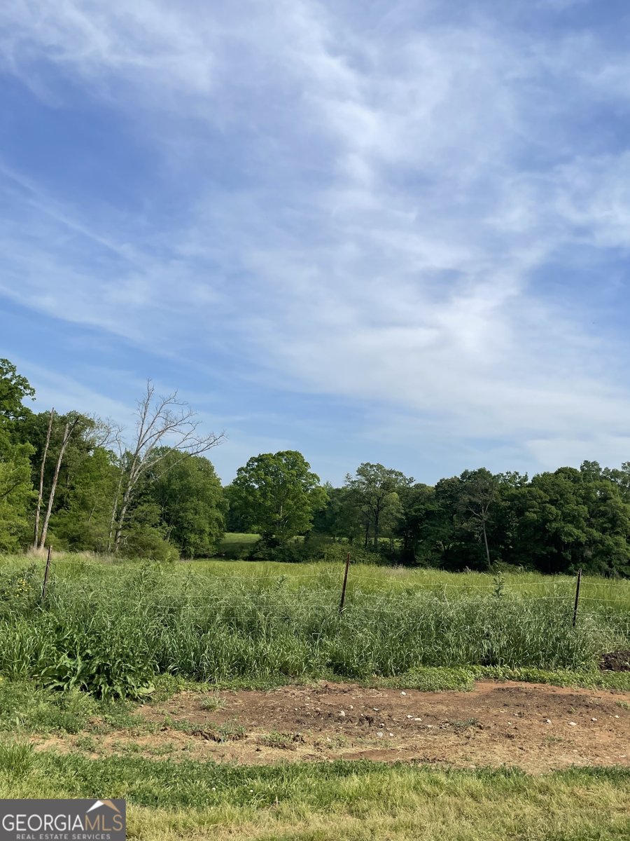 1458 & 1463 Parham Town Road Bowman - 7