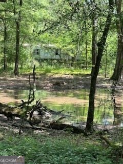 154 Sasser Road Leesburg - 2