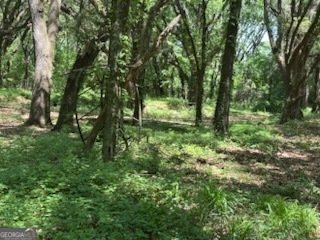 154 Sasser Road Leesburg - 4