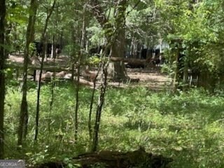 154 Sasser Road Leesburg - 6