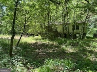 154 Sasser Road Leesburg - 7